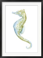 Framed Watercolor Seahorse II