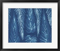 Framed Cyanotype No.7