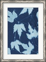 Framed Cyanotype No.10