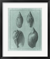 Framed Spa Shell Collection III