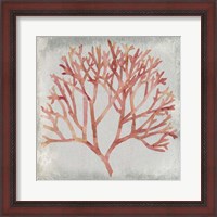 Framed Watercolor Coral IV
