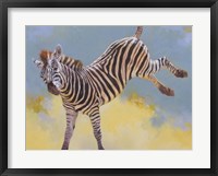 Framed Bucking Zebra