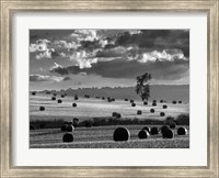 Framed Rolls of Hay
