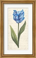 Framed Twin Tulips IV