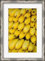 Framed Oman, Dhofar Region, Salalah. Local bananas for Sale