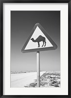 Framed Qatar, Al Zubarah. Camel Crossing Sign-Road to Al-Zubarah NW Qatar