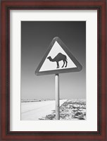Framed Qatar, Al Zubarah. Camel Crossing Sign-Road to Al-Zubarah NW Qatar