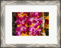 Framed Asia, Singapore. Flowers for sale