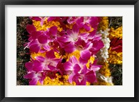 Framed Asia, Singapore. Flowers for sale