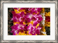 Framed Asia, Singapore. Flowers for sale