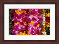 Framed Asia, Singapore. Flowers for sale