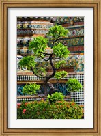 Framed Bonsai tree in front of chedi, Wat Pho, Bangkok, Thailand