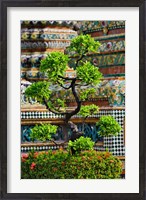 Framed Bonsai tree in front of chedi, Wat Pho, Bangkok, Thailand