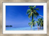 Framed Maldives, Felidhu Atoll. Man relaxing in hammock