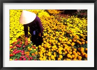 Framed Beautiful Graphic with Woman in Straw Hat and Colorful Flowers Vietnam Mekong Delta