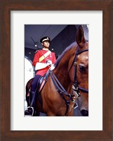 Framed Malaysia, Kuala Lumpur: a mounted guard stands in front of the Royal Palace