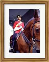 Framed Malaysia, Kuala Lumpur: a mounted guard stands in front of the Royal Palace