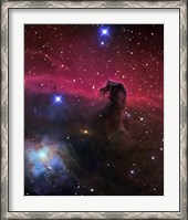 Framed Horsehead Nebula