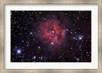 Framed Cocoon Nebula