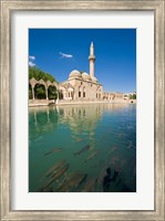 Framed Halil-ur Rahman Mosque, Pool of Abraham, Urfa, Turkey