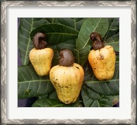 Framed Cashew Nuts, Thailand