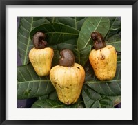 Framed Cashew Nuts, Thailand