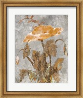 Framed Spice Poppy II