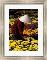 Framed Gardens with Woman in Straw Hat, Mekong Delta, Vietnam