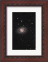 Framed Messier 95, A Barred Spiral Galaxy in the Constellation Leo