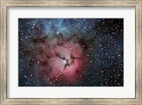 Framed Trifid Nebula