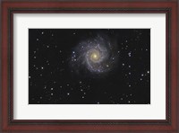 Framed Messier 74, A Spiral Galaxy in the Constellation Pisces