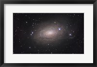 Framed Sunflower Galaxy