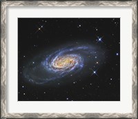 Framed NGC 2903, A Barred Spiral Galaxy in the Constellation of Leo