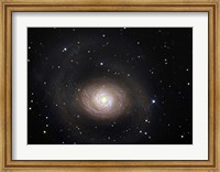 Framed Messier 94, A Spiral Galaxy in the Constellation Canes Venatici