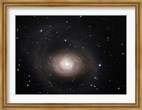 Framed Messier 94, A Spiral Galaxy in the Constellation Canes Venatici