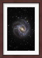 Framed Southern Pinwheel Galaxy
