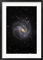 Framed Southern Pinwheel Galaxy