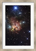 Framed Northern Trifid Nebula