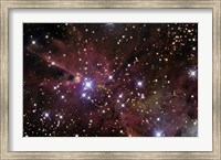 Framed Cone Nebula and Christmas Tree Cluster