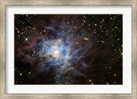 Framed Iris Nebula