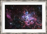 Framed Tarantula Nebula