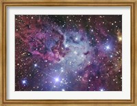 Framed Fox Fur Nebula