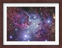 Framed Fox Fur Nebula