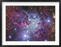 Framed Fox Fur Nebula