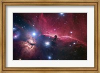 Framed Horsehead Nebula