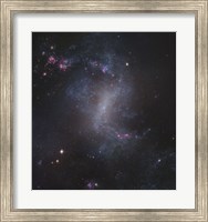 Framed Starburst Galaxy