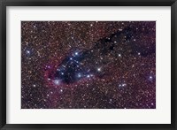Framed Dark Tower, Cometary Globule in Scorpius