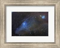 Framed Reflection complex in Scorpius