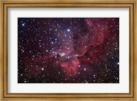 Framed Emission Nebula in the Constellation Cepheus (NGC 7380)