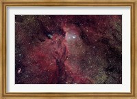 Framed Emission Nebula in Ara (NGC 6188)